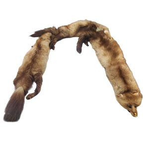 3 Fox Fur Stole Wrap Scarf With Face, Tail, Paws And Claws.